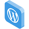 diseñador web wordpress
